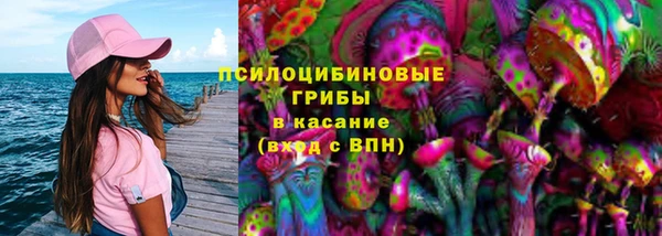 прущий лед Няндома